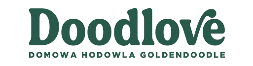 Doodlove